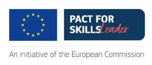 Pact for skills, Commission Européenne