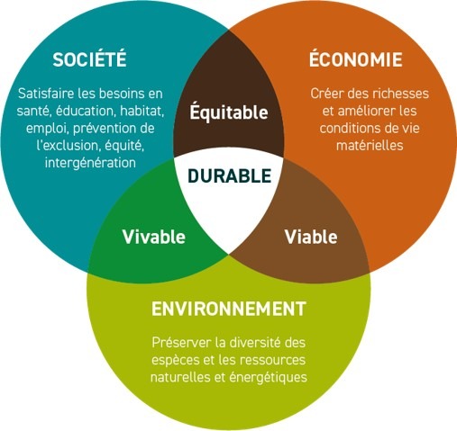 Alorem accompagne les entreprises dynamiques et éthique vers un engagement RSE sain et équitable pour tous